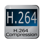 H.264 resolution on Cortex® security products